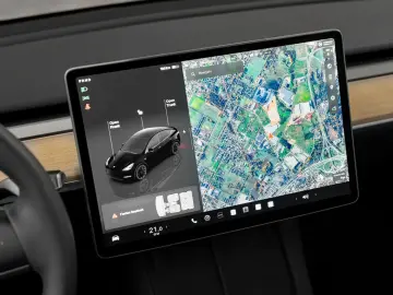 Model Y Basis RWD