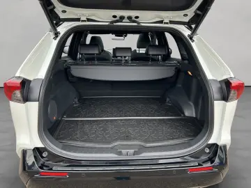 RAV 4 2.5 Plug-in-Hybrid Panoramadach