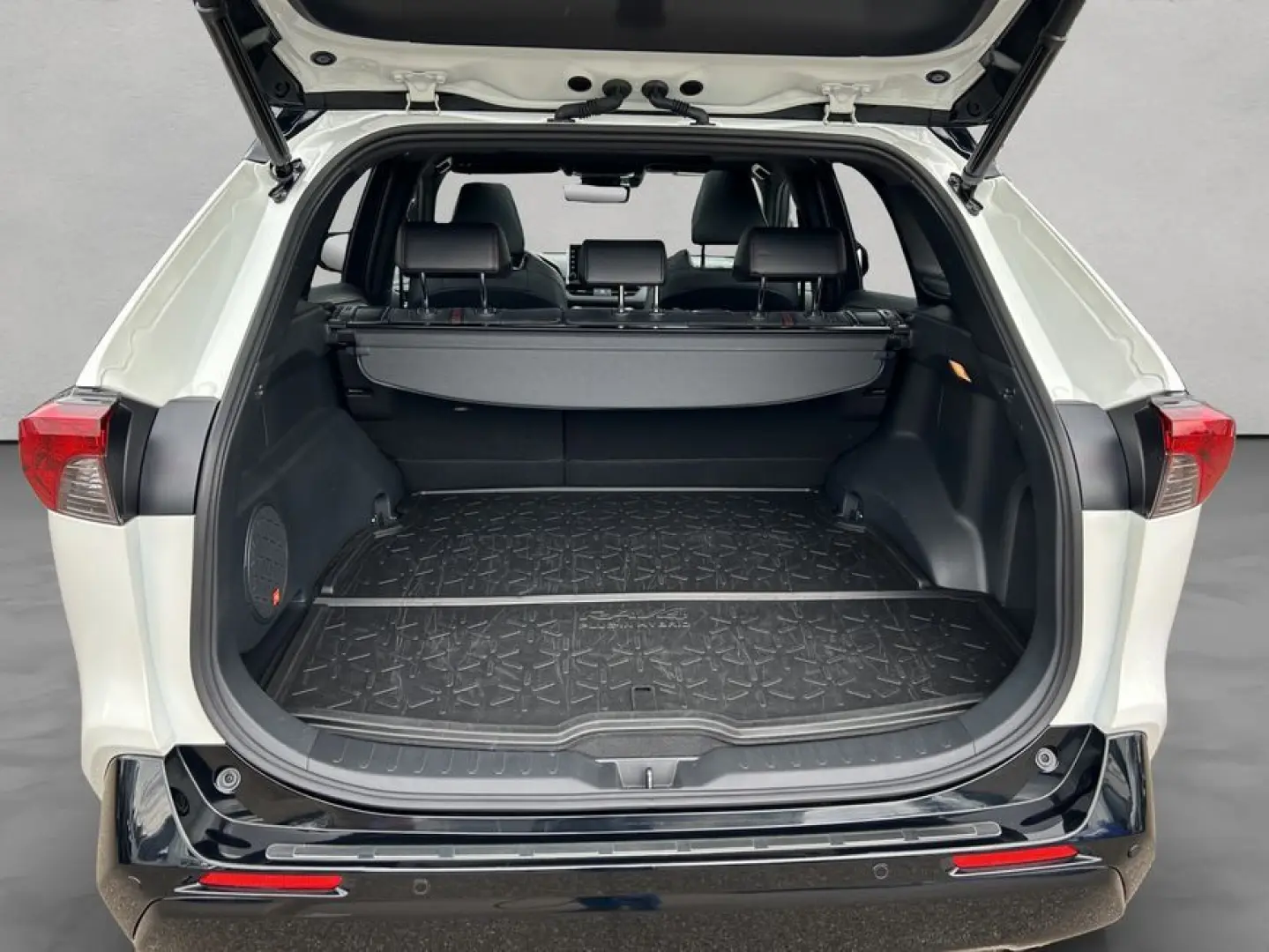 RAV 4 2.5 Plug-in-Hybrid Panoramadach