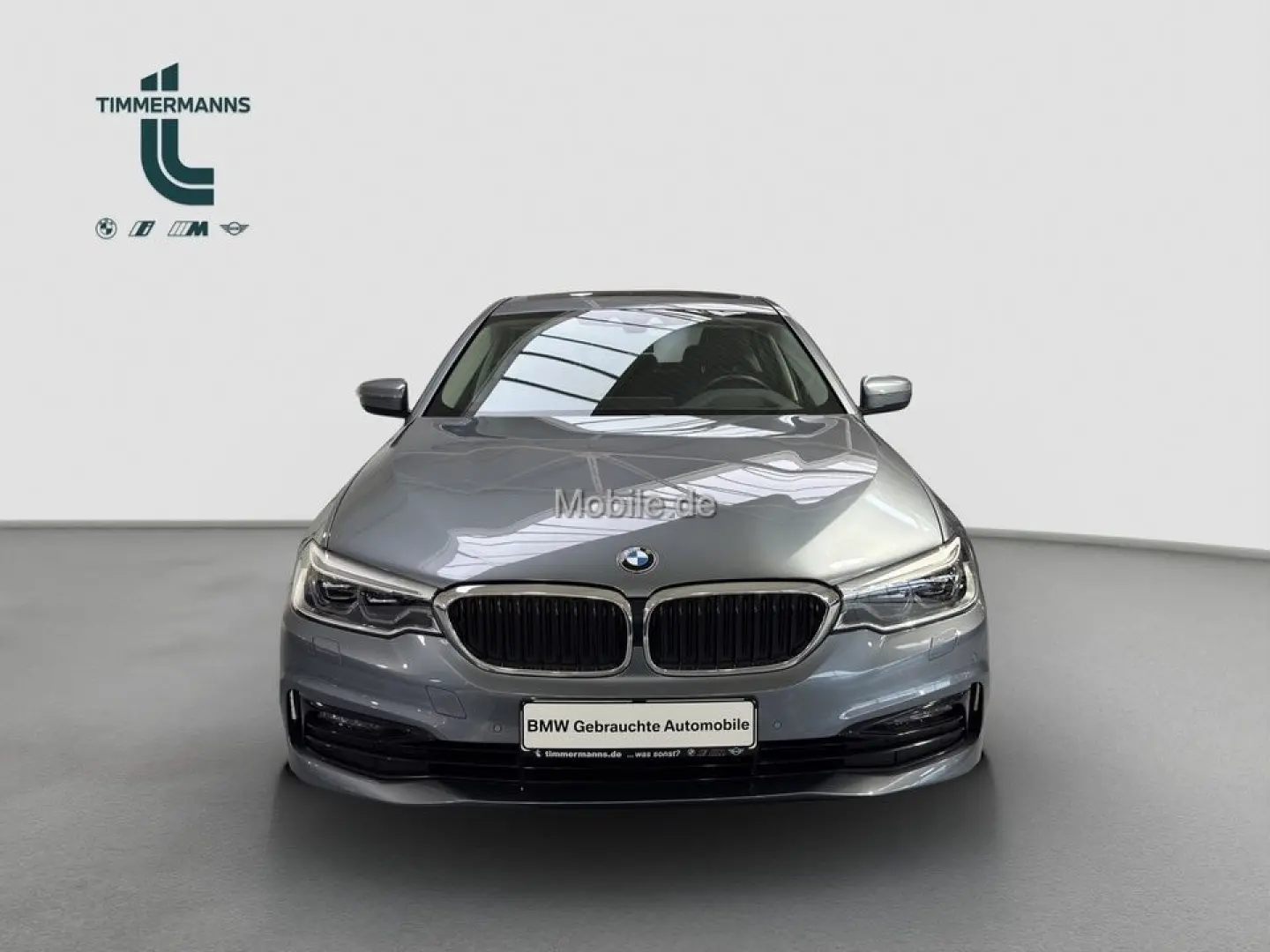 530e xDrive adapLED HUD Harman Glasdach