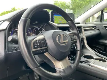 RX 450h (hybrid) *Sport Edition*LED*Allrad*Leder