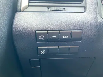 RX 450h (hybrid) *Sport Edition*LED*Allrad*Leder