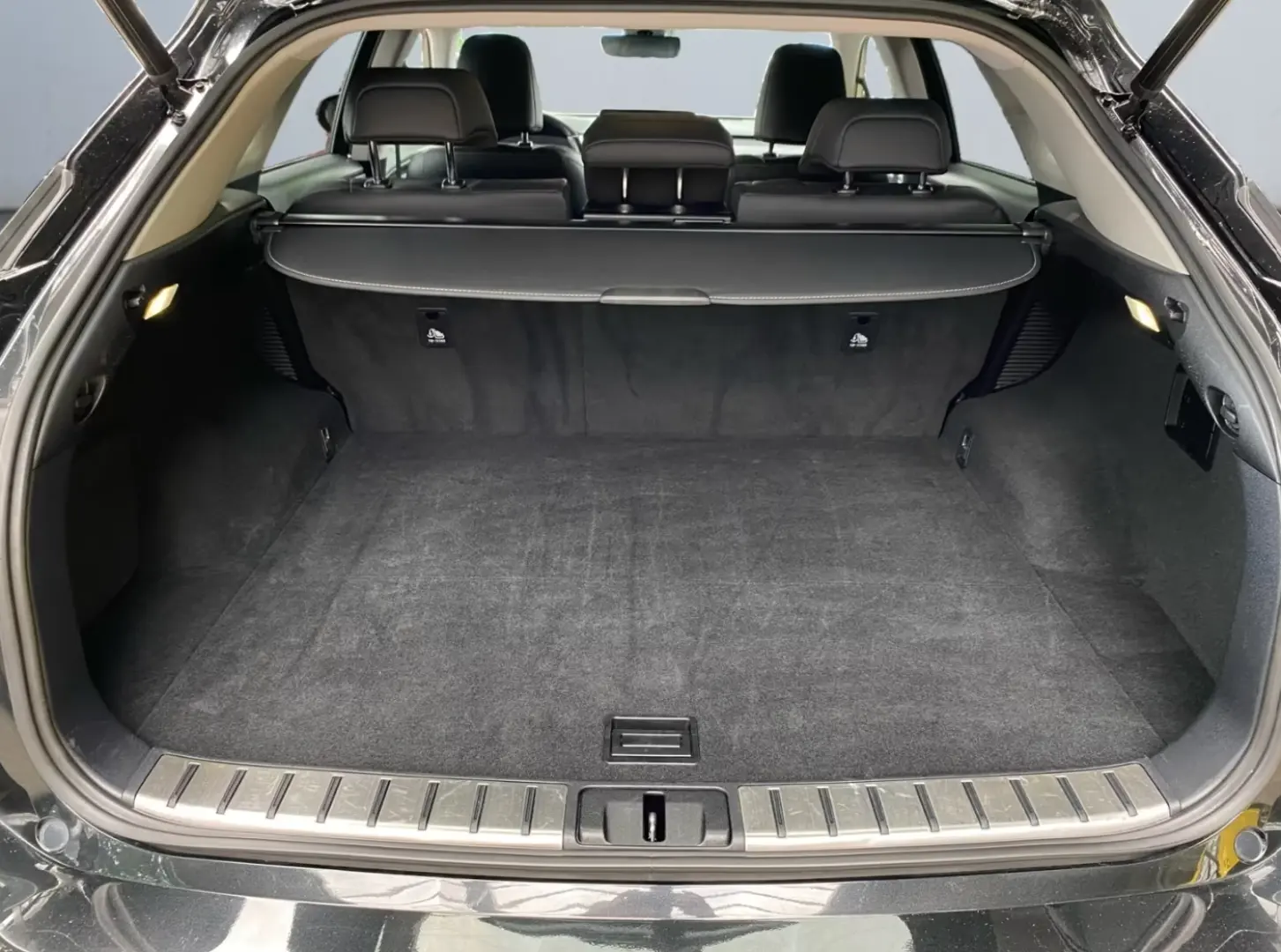 Lexus RX 450h (hybrid) *Sport Edition*Leder*Graphitsch