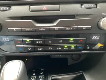 Lexus RX 450h (hybrid) *Sport Edition*Leder*Graphitsch