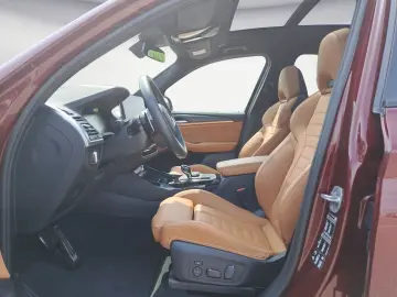 X3 xDrive30i AT M Sportpaket Panorama Standheizu