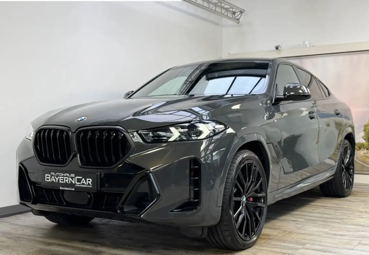 X6 xDr30d M Sport Pro Luft 22Zoll Integral AHK