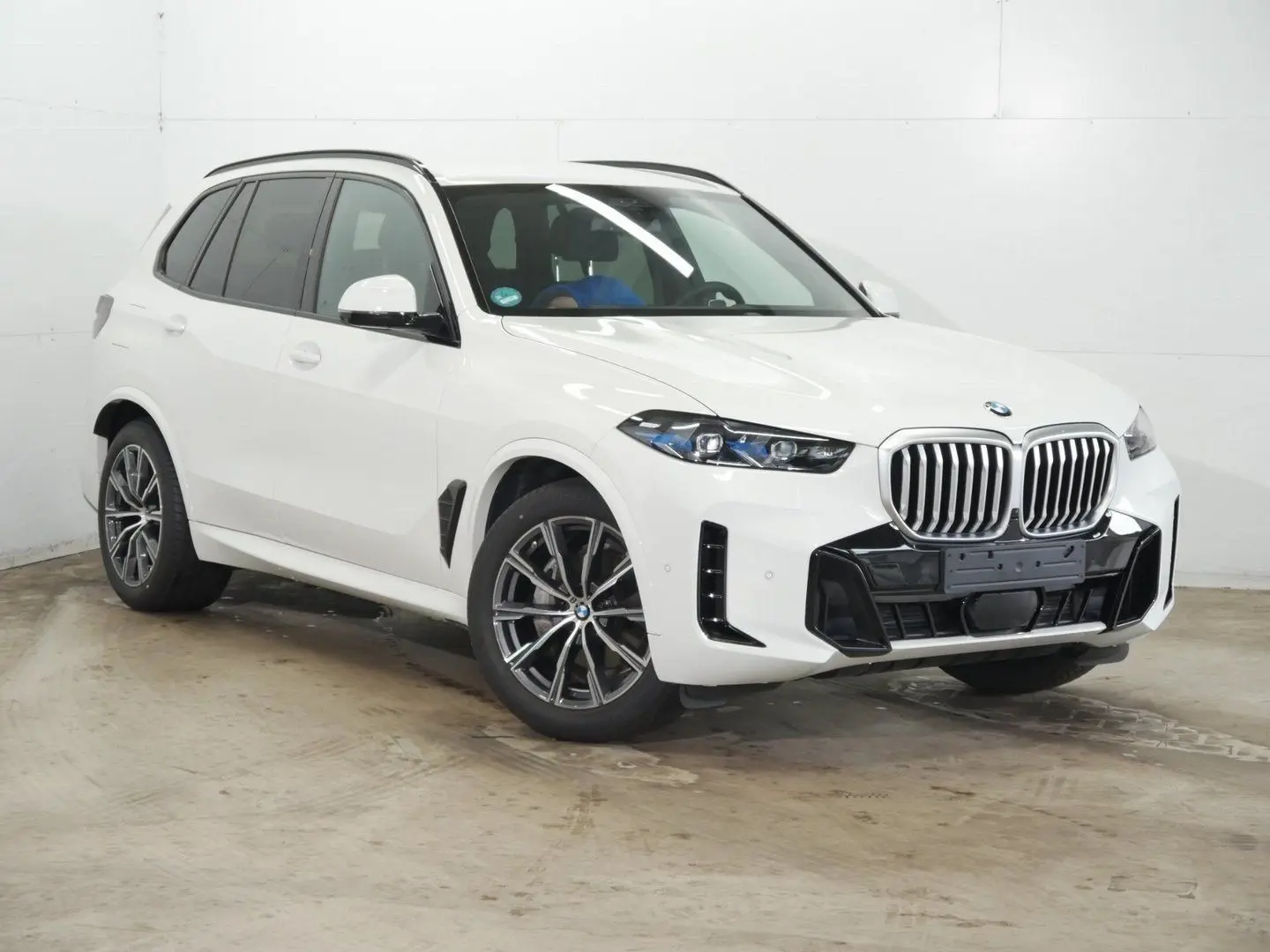 X5 xDrive30d M Sportpaket Gestiksteuerung DAB Ko
