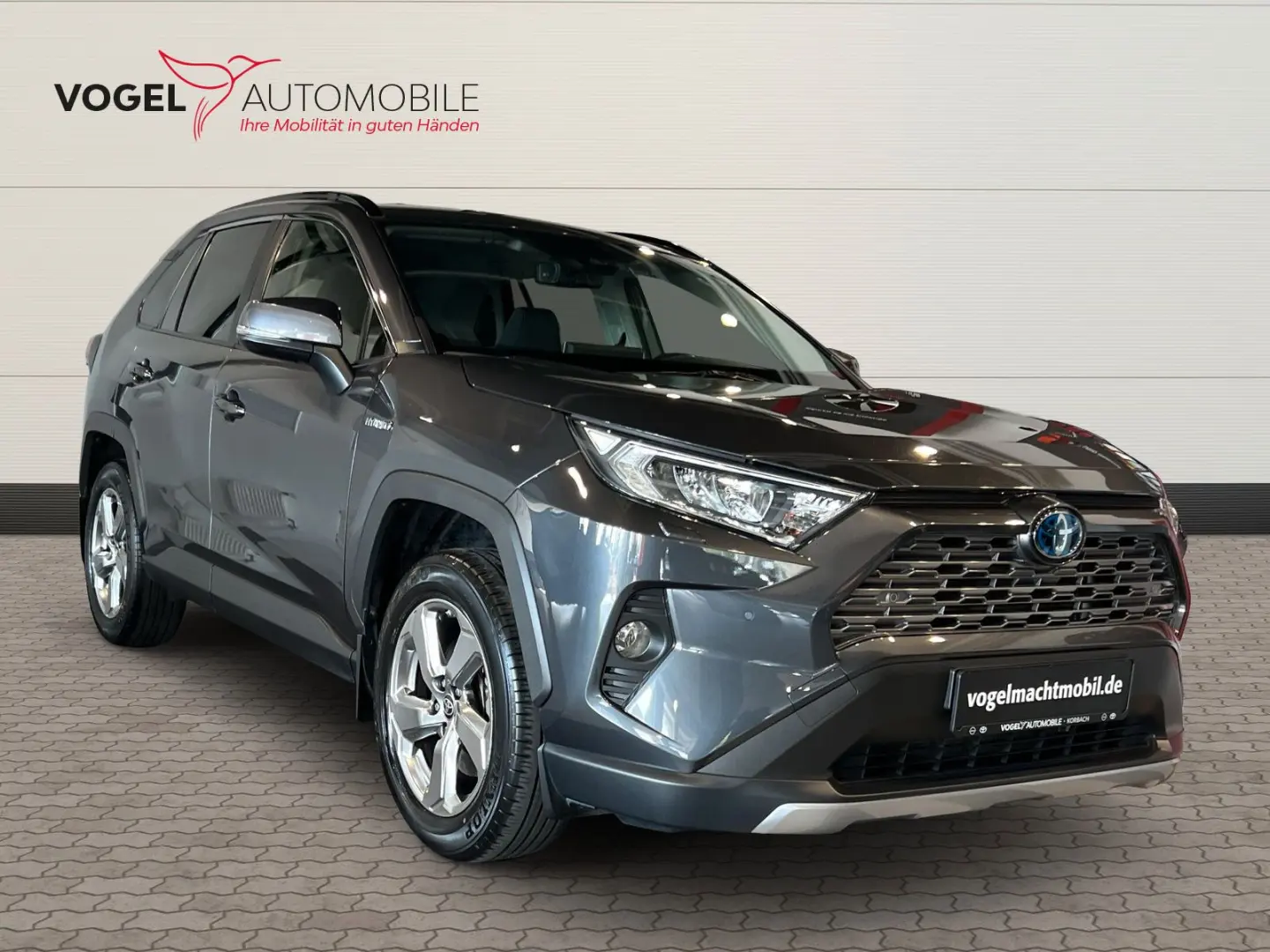 RAV4 2.5 Team Deutschland +4x4+Navi+AHK.+LED