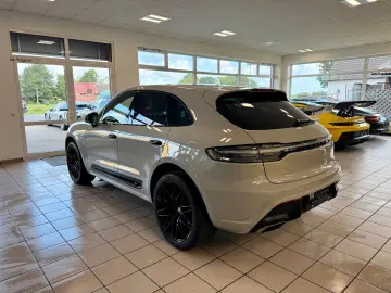 Macan Panorama/21