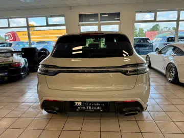 Macan Panorama/21