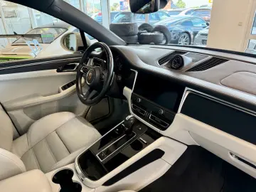 Macan Panorama/21