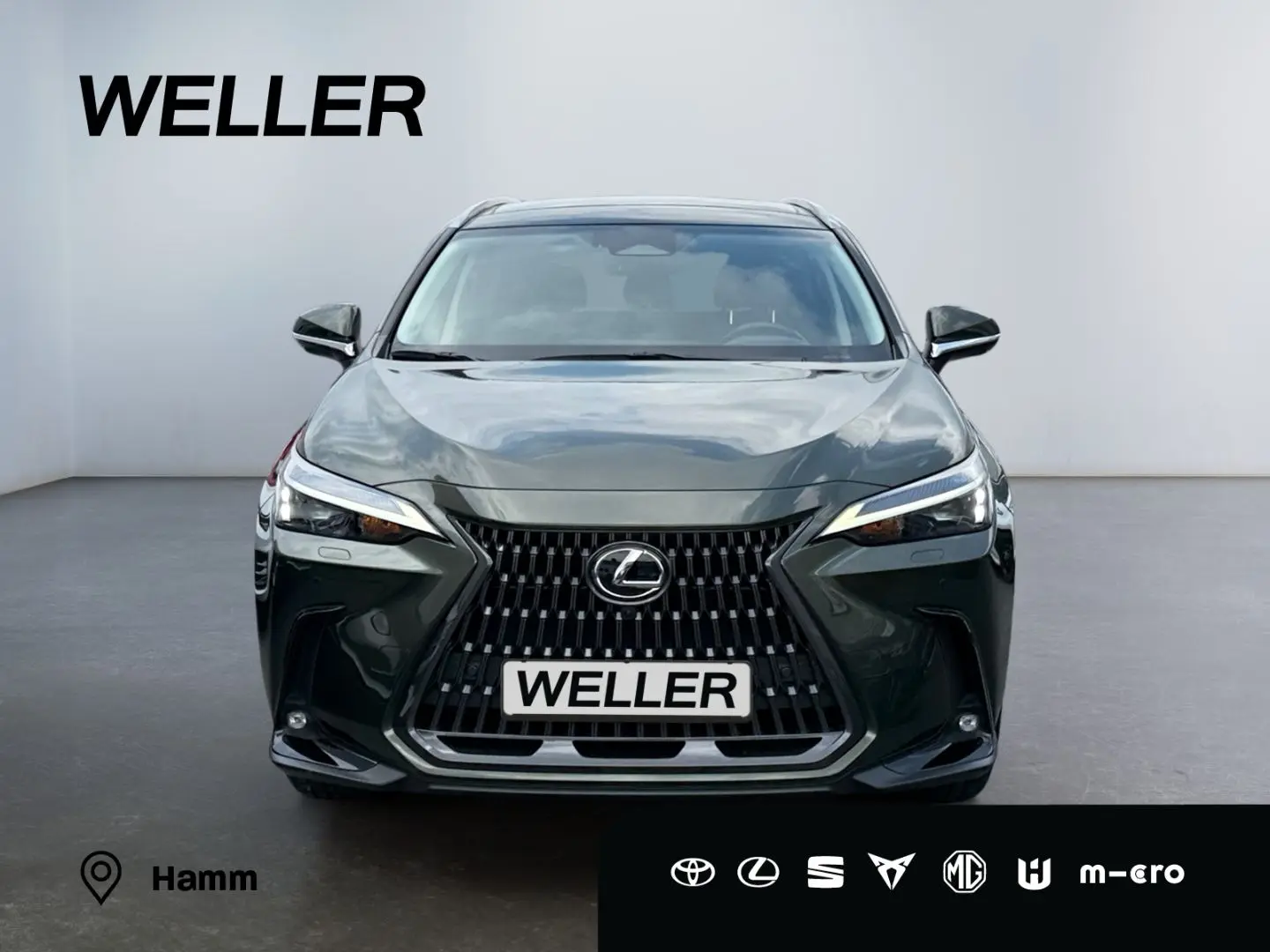 NX 350h E-FOUR Executive Line *LED*HUD*360°*Pano