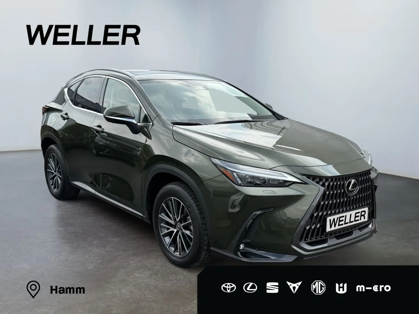 NX 350h E-FOUR Executive Line *LED*HUD*360°*Pano