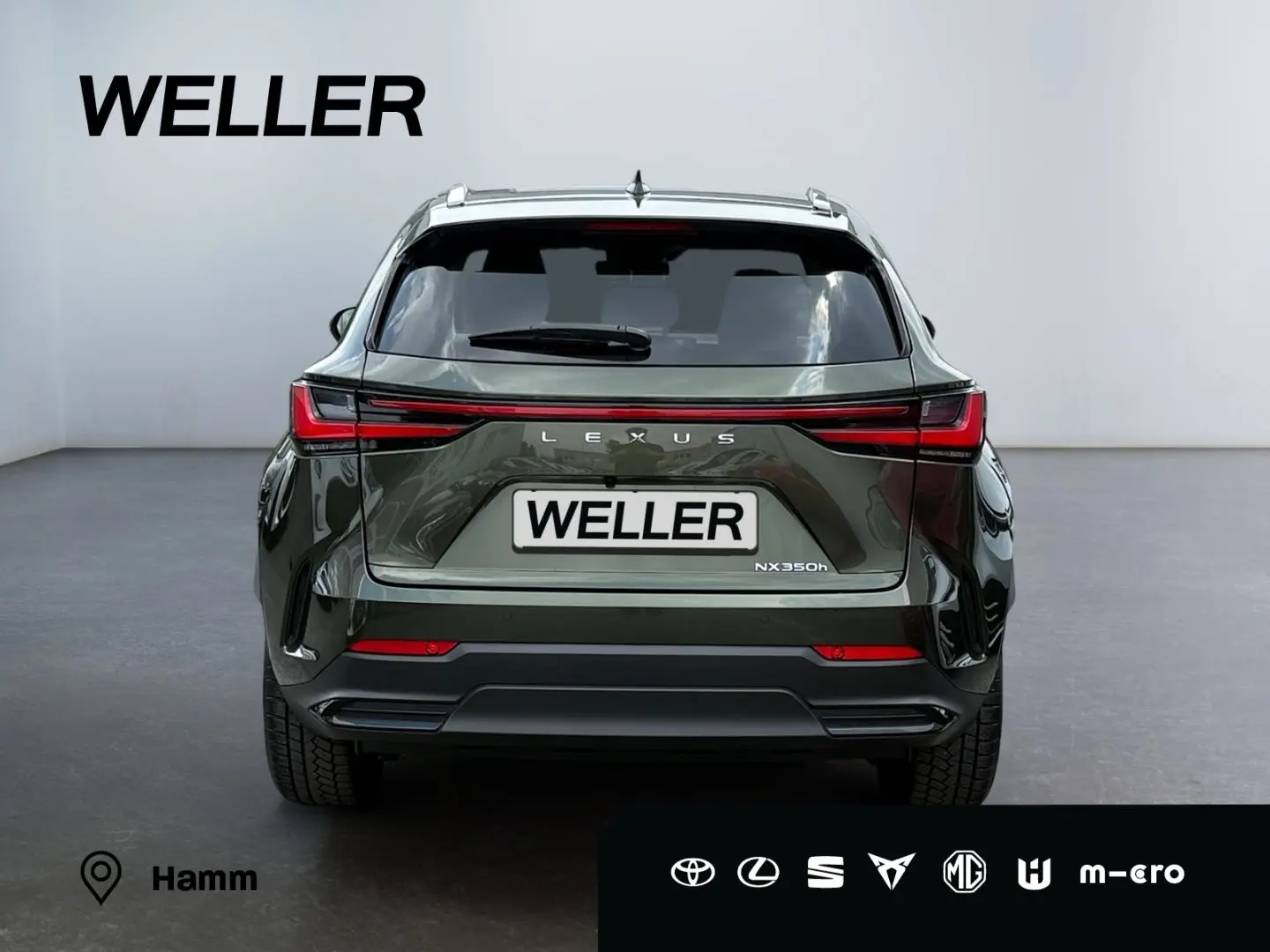 NX 350h E-FOUR Executive Line *LED*HUD*360°*Pano
