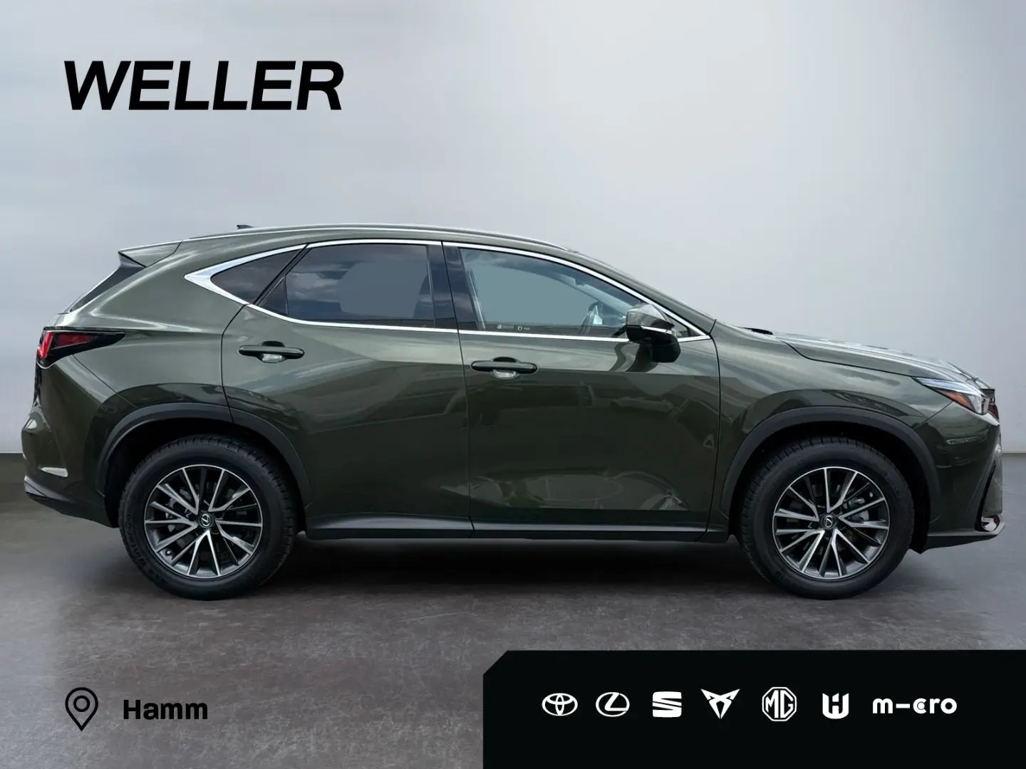 NX 350h E-FOUR Executive Line *LED*HUD*360°*Pano