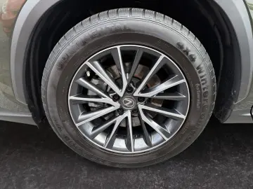 NX 350h E-FOUR Executive Line *LED*HUD*360°*Pano