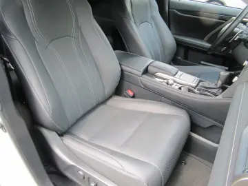 RX 450h +PANO+NAV+KAMERA+HUD+