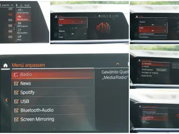 X5 40d xDrive M-Sport LiveCP/Laser/Pano/HuD/360°