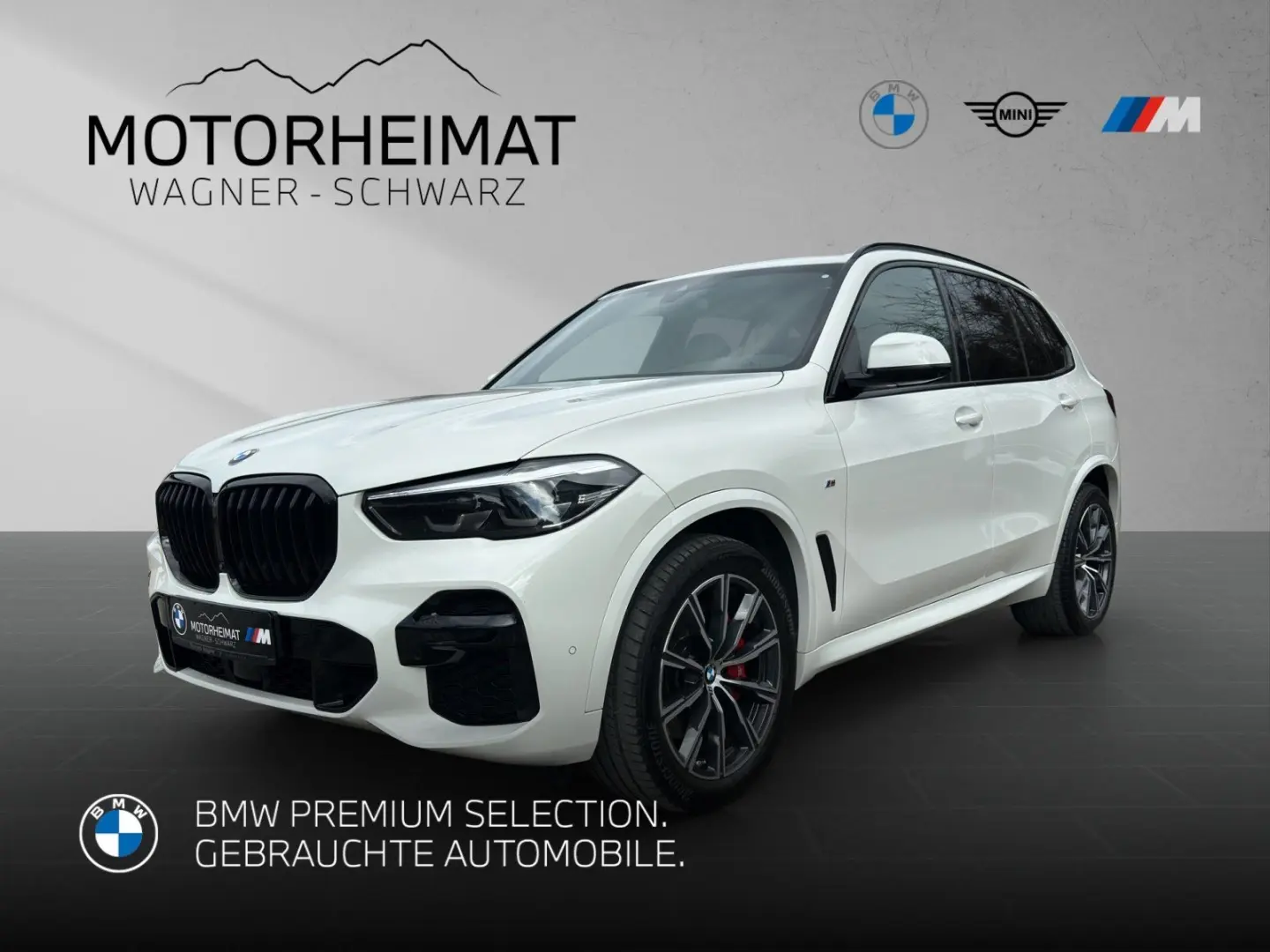 X5 xDrive30d M Sport 360° Standhzg Sportbremse r