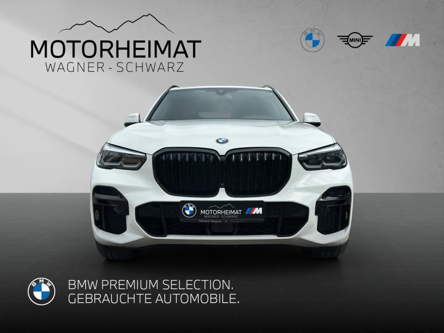 X5 xDrive30d M Sport 360° Standhzg Sportbremse r
