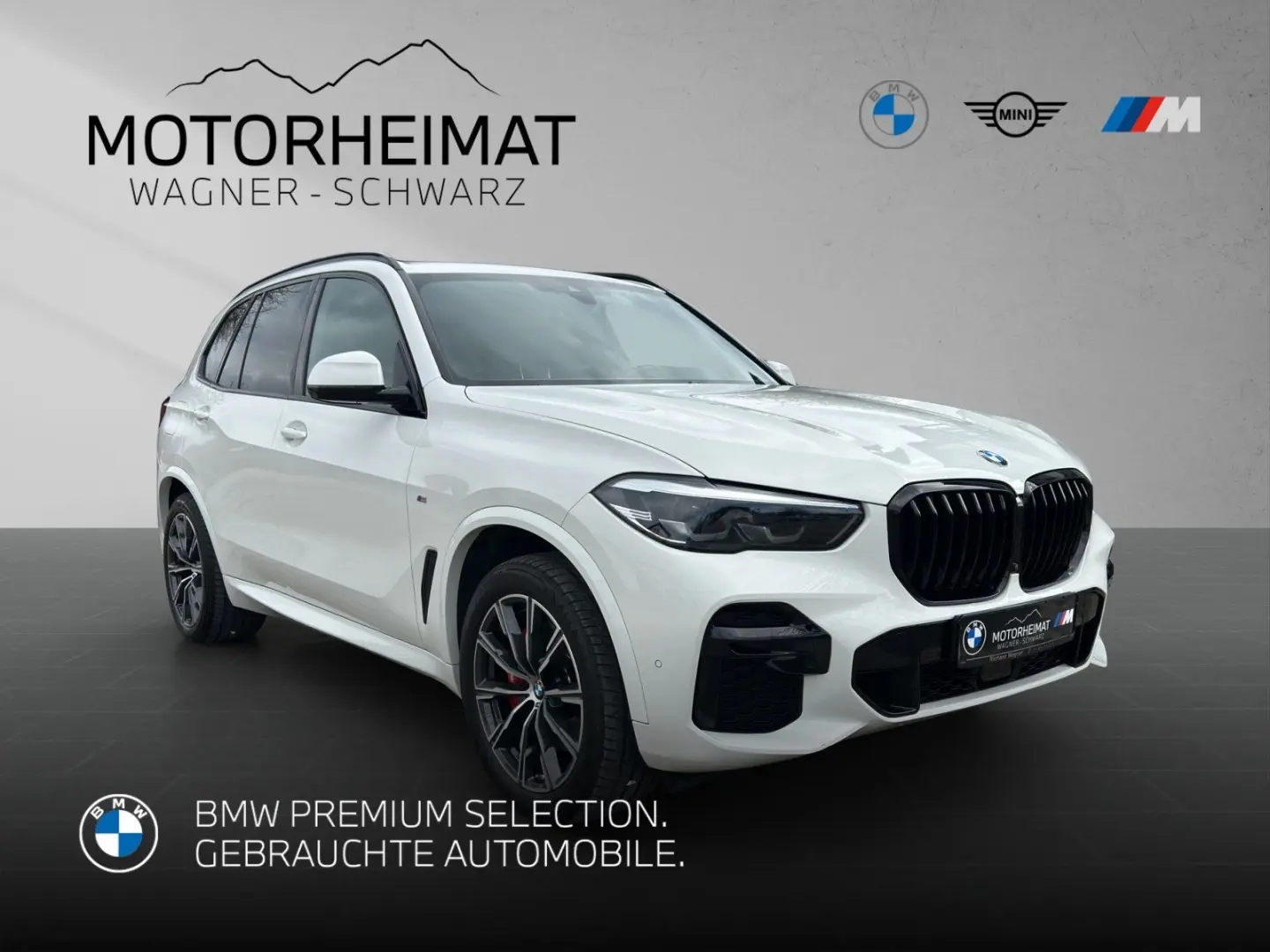 X5 xDrive30d M Sport 360° Standhzg Sportbremse r