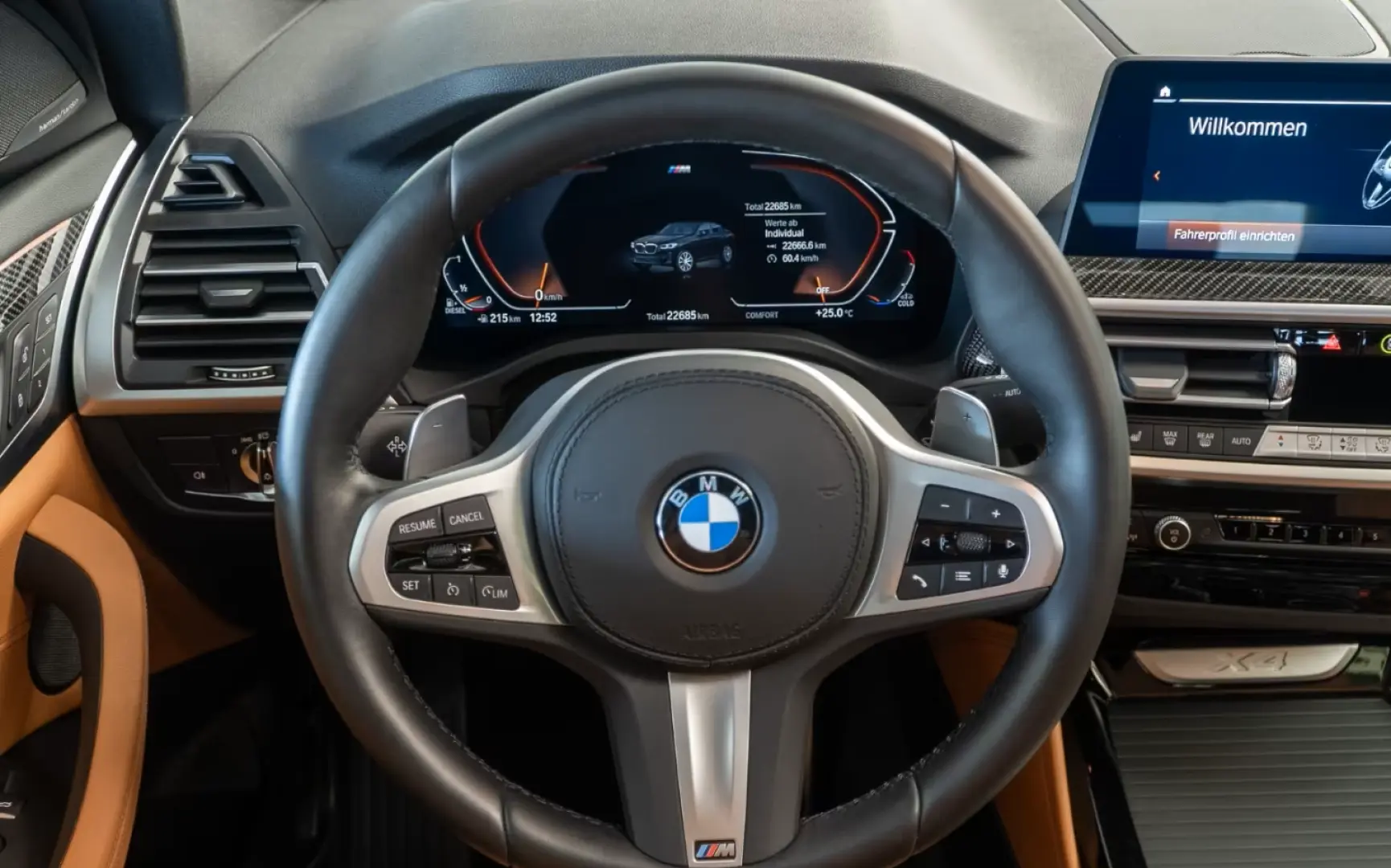 BMW X4 20d M Sport Inno Scaun Sport
