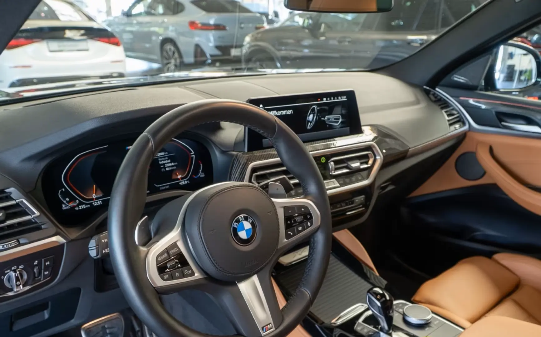 BMW X4 20d M Sport Inno Scaun Sport