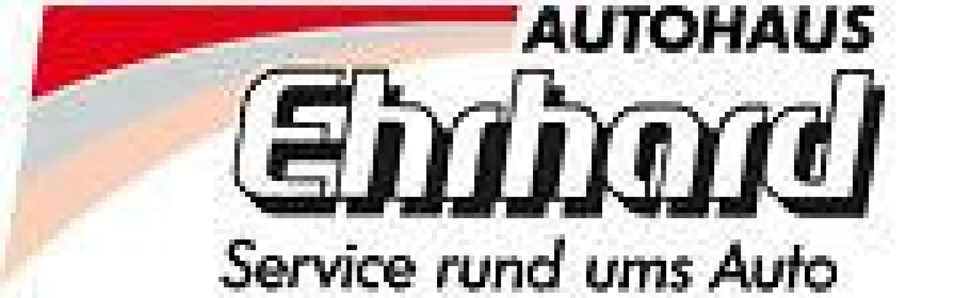 RAV4 Hybrid 4x4 Team D *Navi*Smartphone*