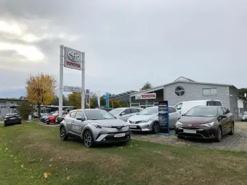 RAV4 Hybrid 4x4 Team D *Navi*Smartphone*