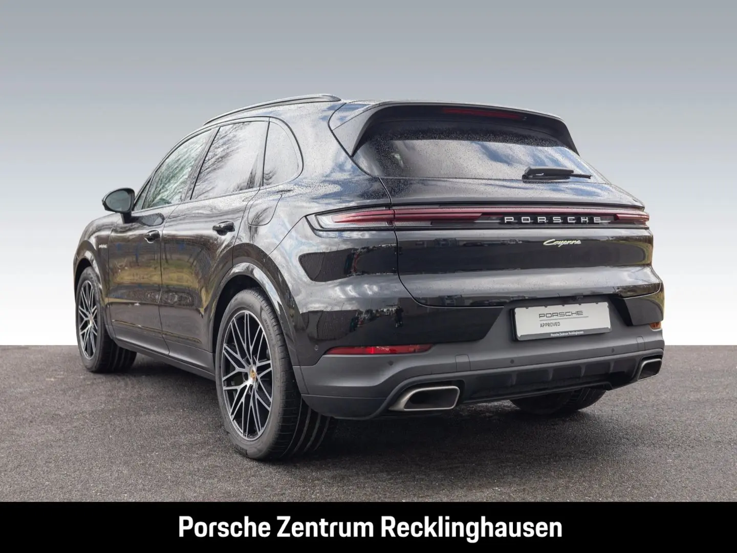 Cayenne E-Hybrid BOSE Surround-View Panoramadach