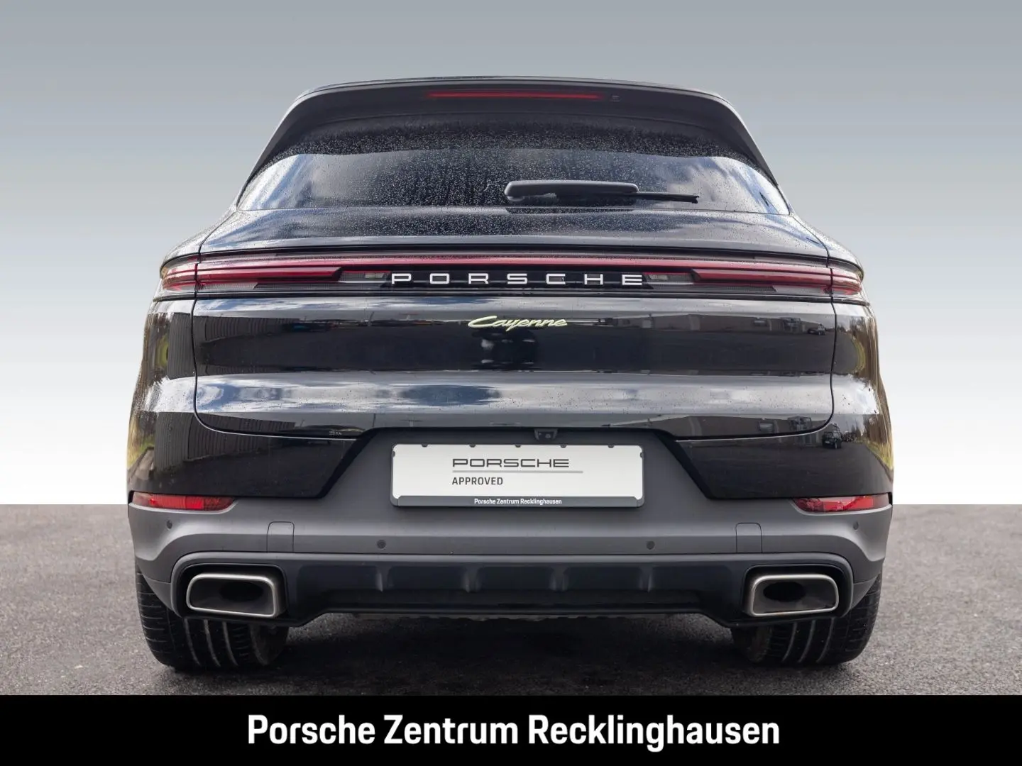 Cayenne E-Hybrid BOSE Surround-View Panoramadach