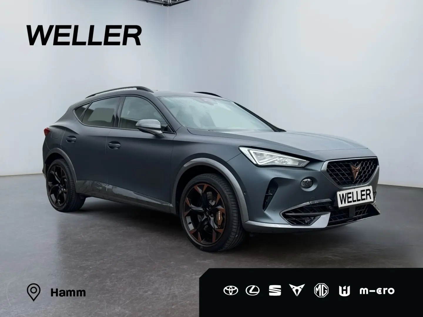 Formentor VZ 2.0 TSI 4Drv DSG *Brembo*Beats*Matt