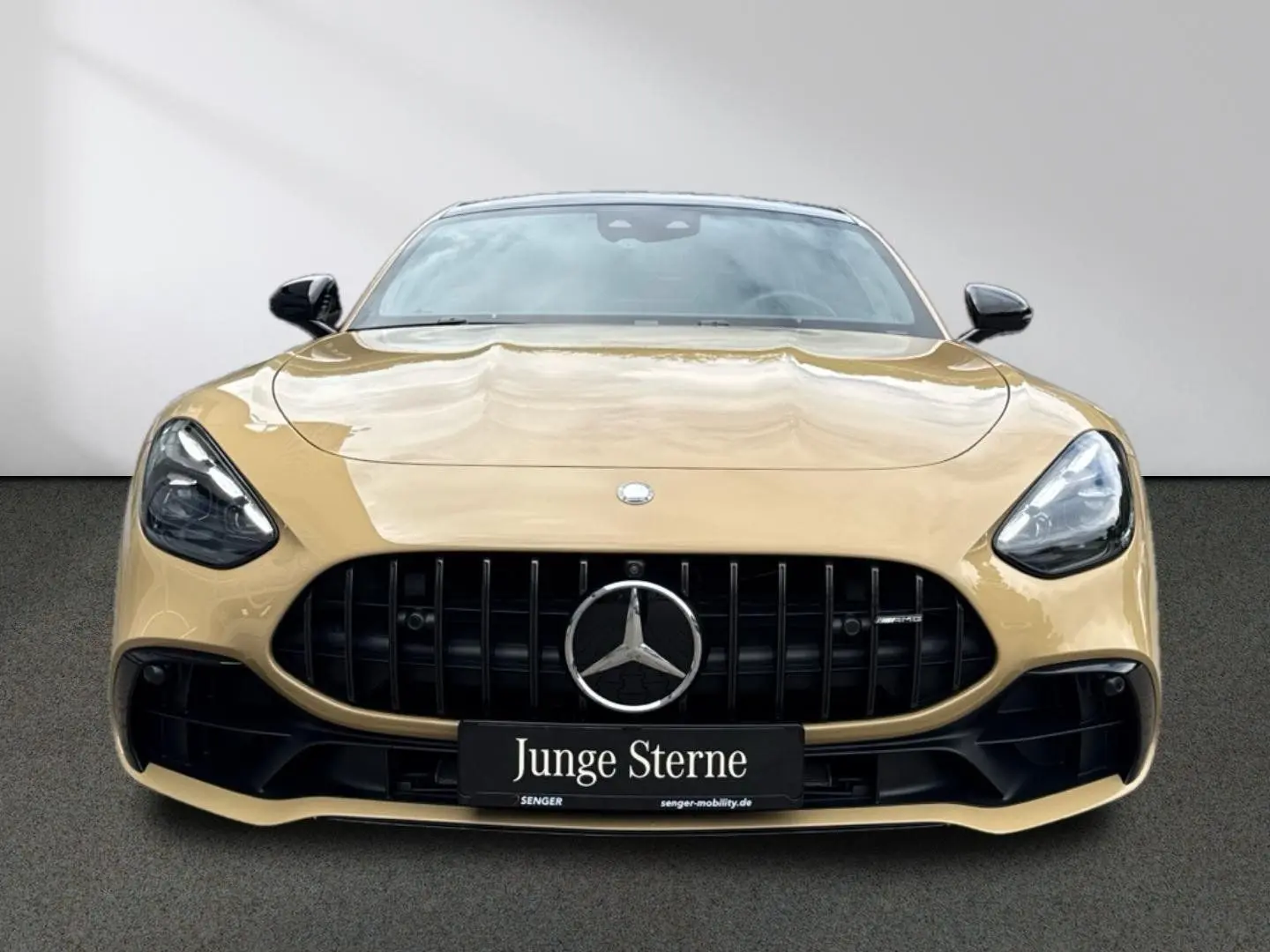 AMG GT 43 Night Distronic Pano HeadUp Ambiente
