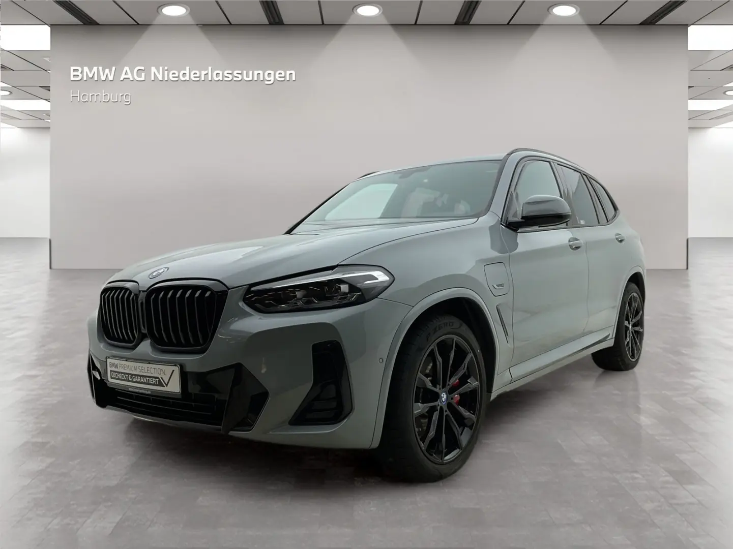 X3 xDrive30e M Sport Navi AHK Kamera HiFi LED