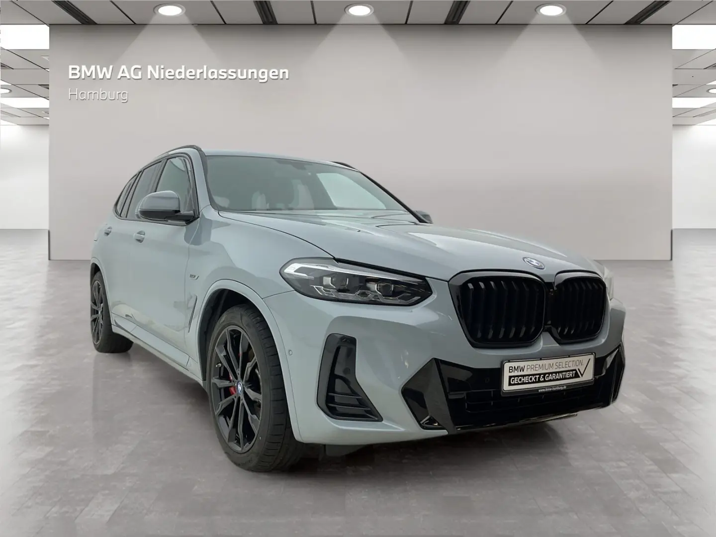 X3 xDrive30e M Sport Navi AHK Kamera HiFi LED