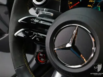E 63 S AMG Final Edition 1 of 999 Pano/Multibeam