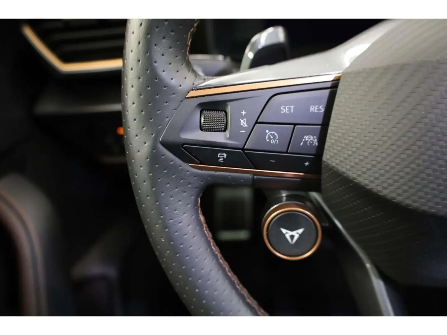 Formentor 2.0 TSI 4Drive VZ DSG P-Dach/Virt./RFK