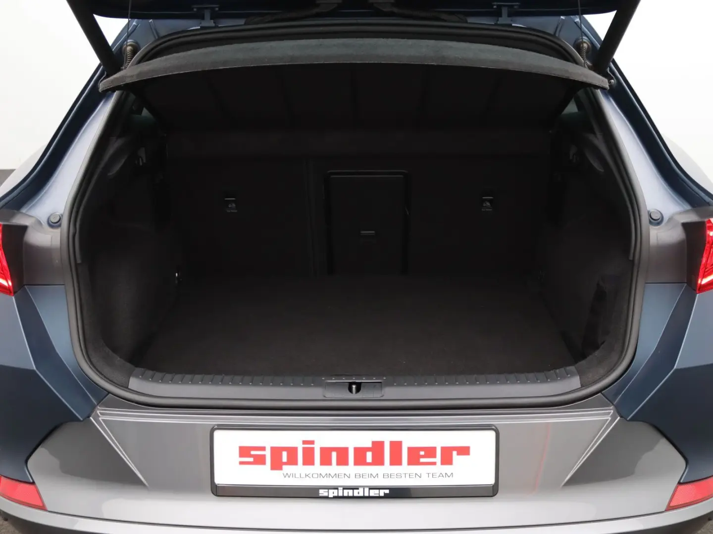 Formentor VZ 2.0TSI 4Drive DSG / Navi, Pano, AHK