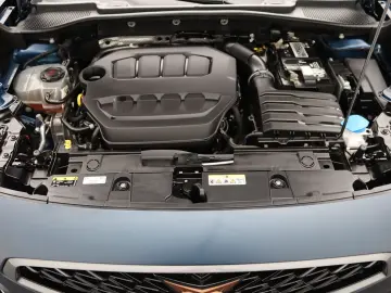 Formentor VZ 2.0TSI 4Drive DSG / Navi, Pano, AHK
