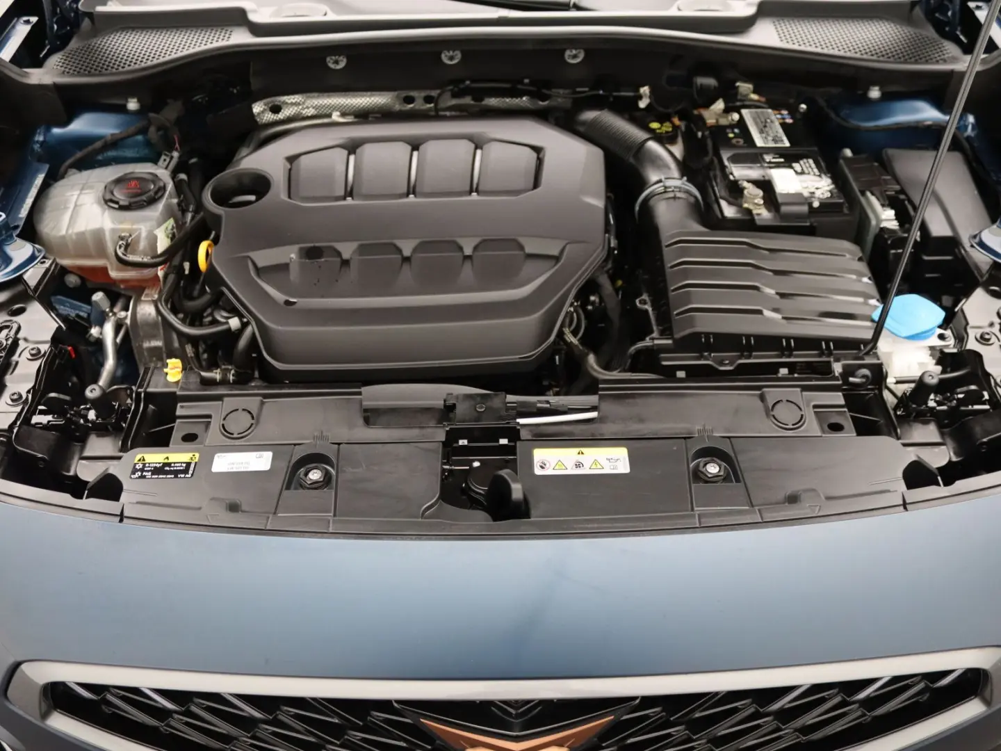 Formentor VZ 2.0TSI 4Drive DSG / Navi, Pano, AHK