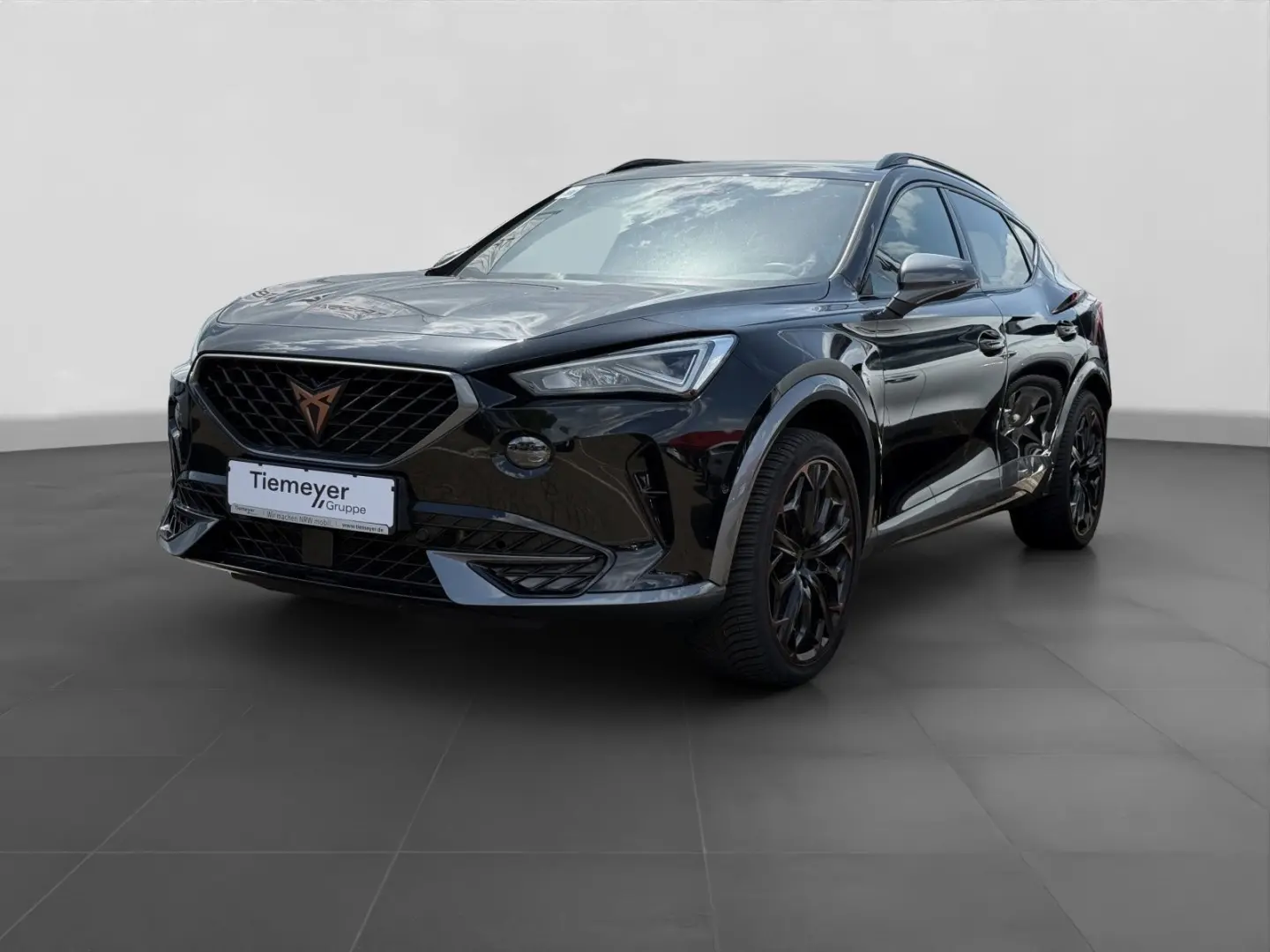 Formentor VZ 2.0 TSI 4D PANO AHK BEATS FULL-LINK