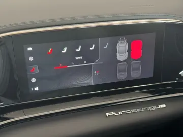 Purosangue