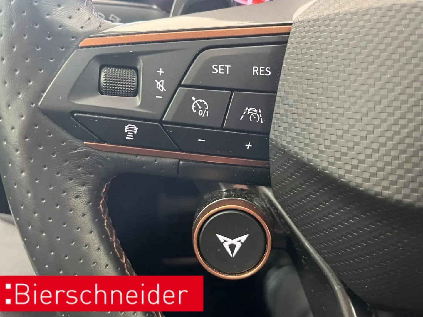 Formentor 2.0 TSI DSG 4Dr VZ AB 249EUR AHK BEATS