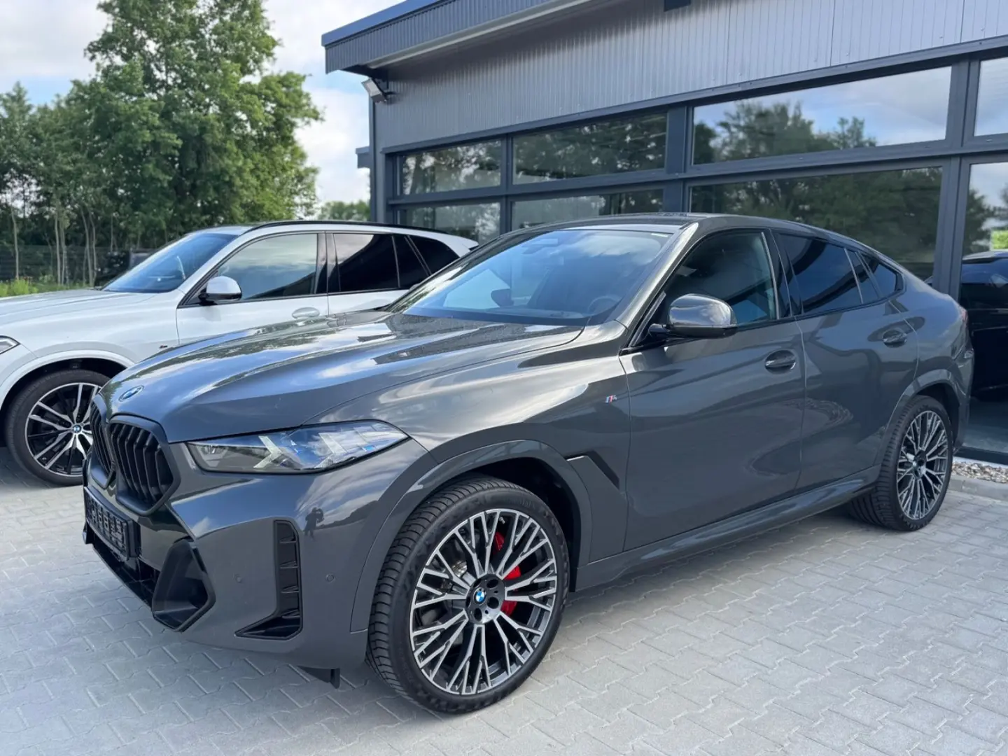 X6 30d M Sport Pro -Pano-Harman&Kard-360K-22Zo
