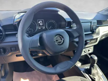 Fabia Active