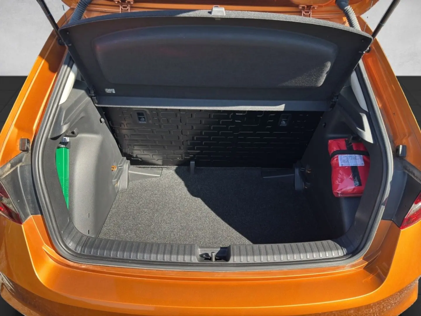 Fabia Active