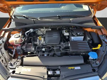 Fabia Active