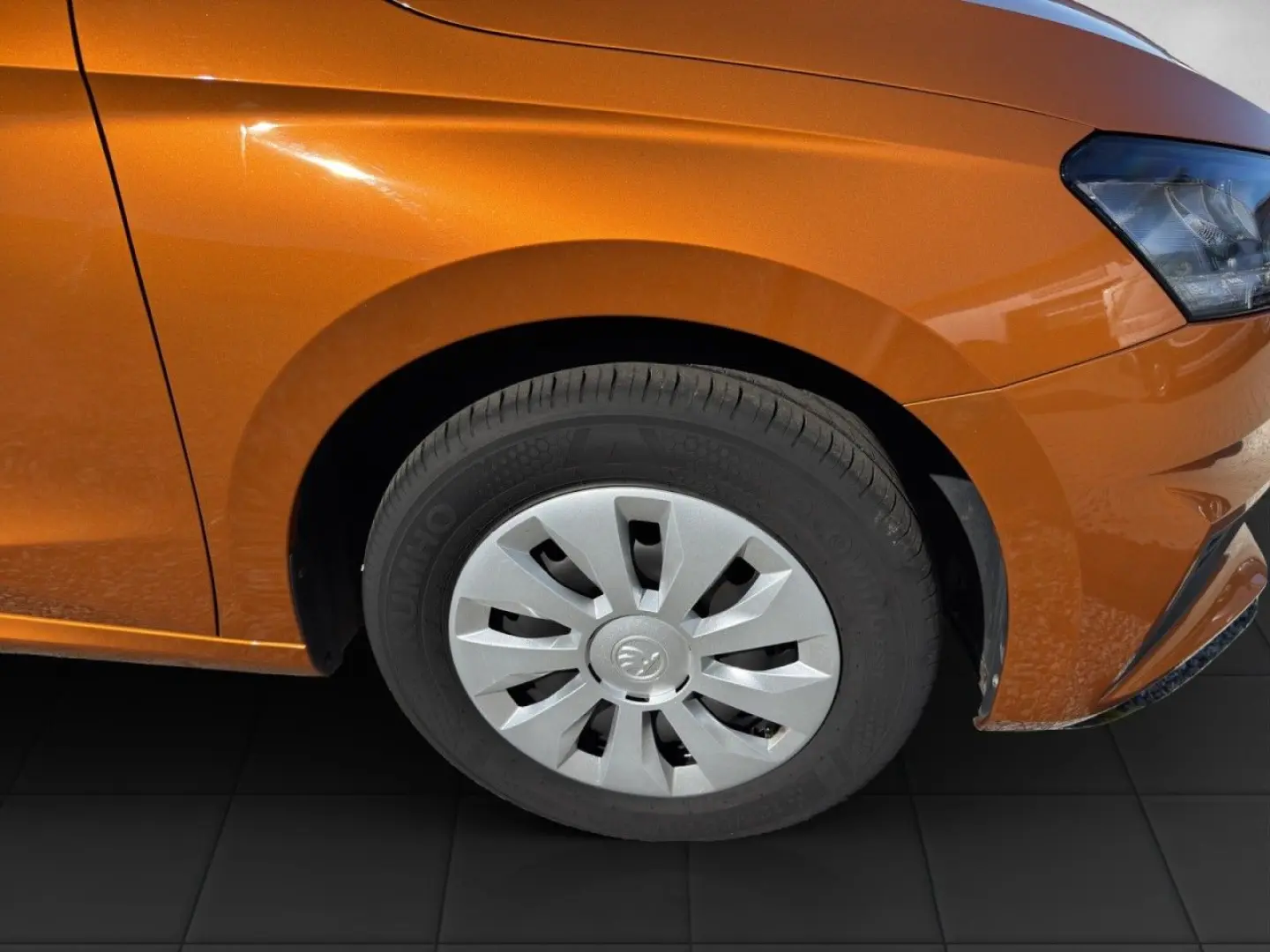 Fabia Active