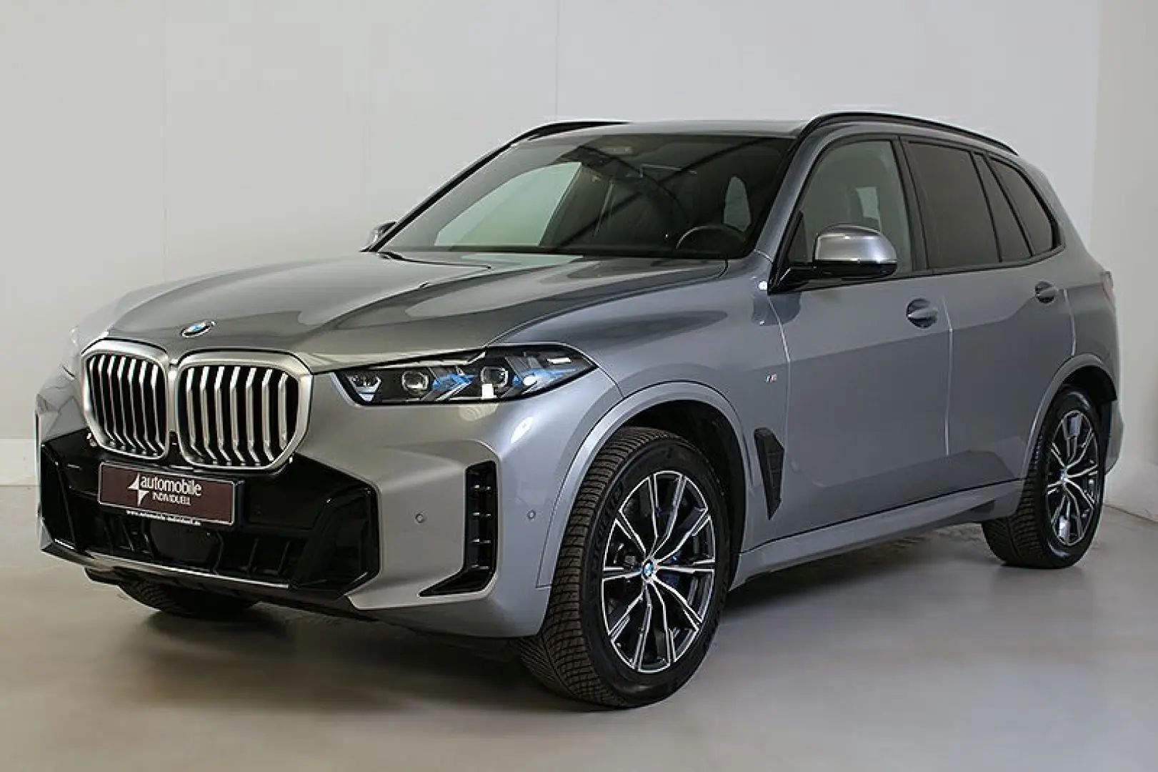 X5 xDrive30d A M Sportpaket LED ACC AHK H&K DAB