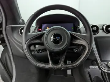 GT*MY2023*BLACK/BLACK*CARBON*FULL OPTIONS*B&W